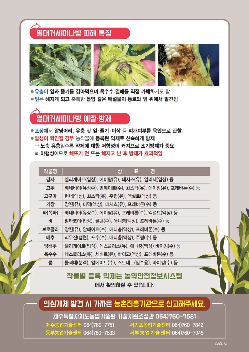 열대거세미나방 올해 첫 발견…최근 5년 중 가장 빨라