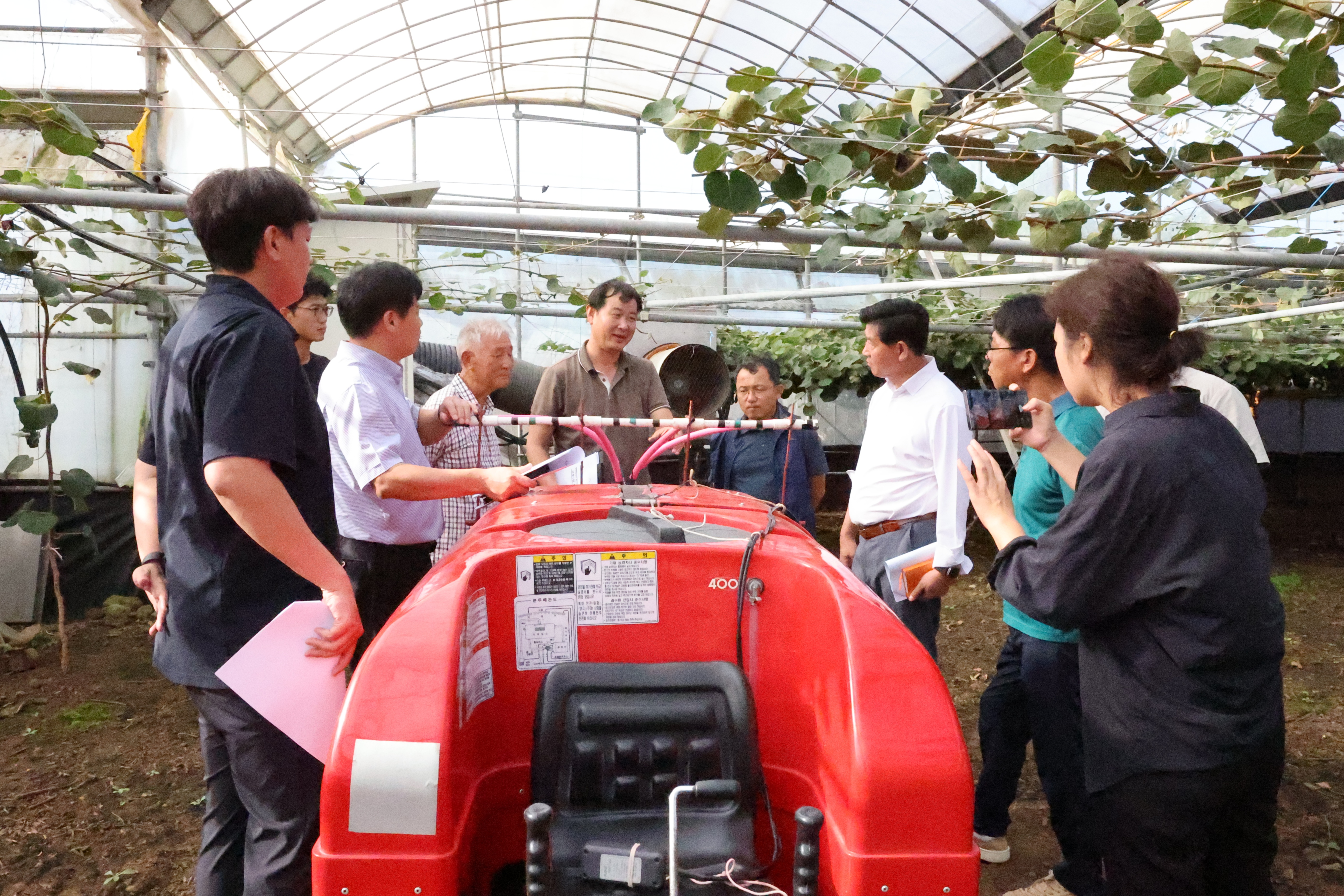 제주키위 인공수분 기계화...노동력절감 기술 현장 실증