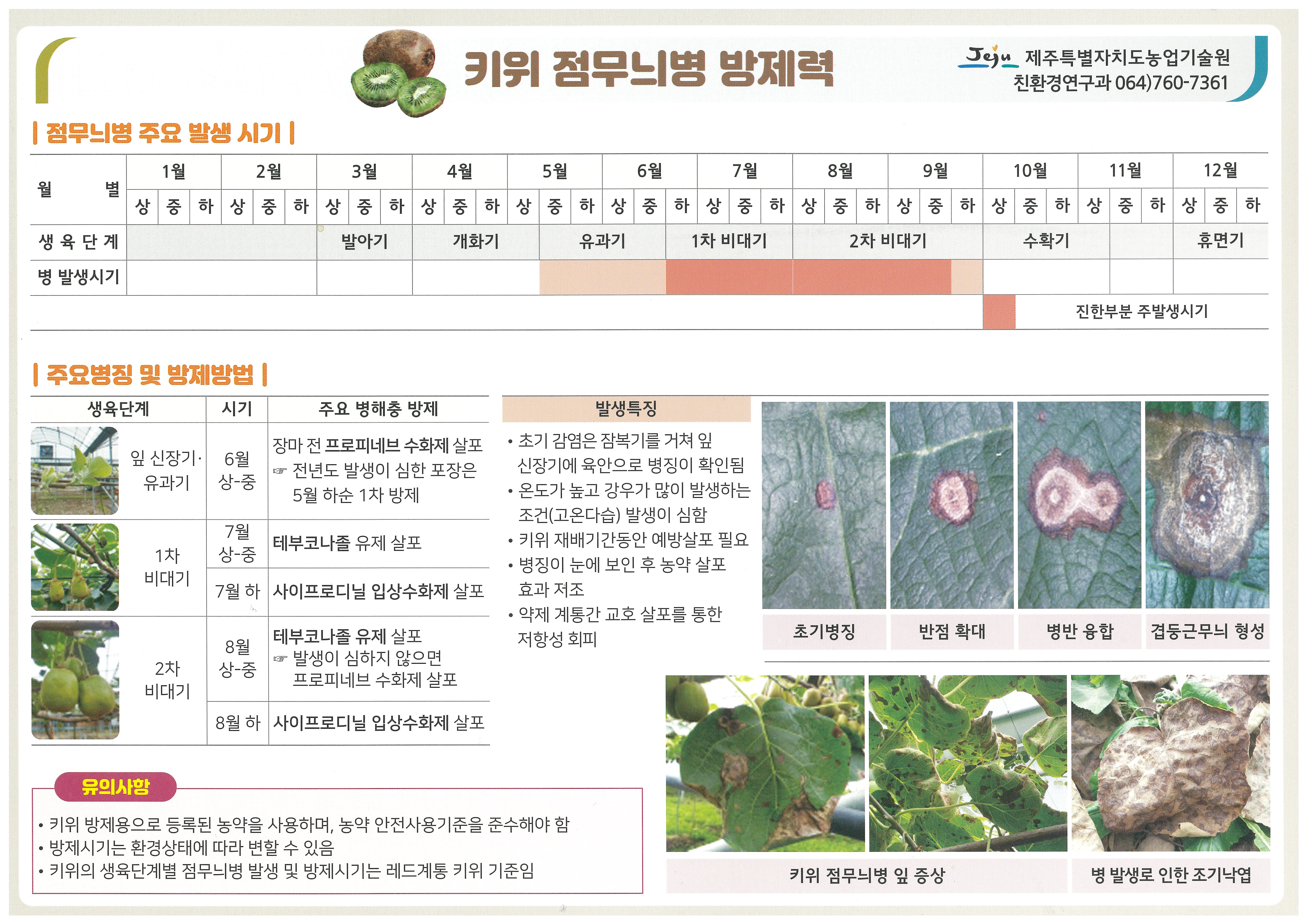 장마철 키위 곰팡이병 예찰·적기 방제 당부