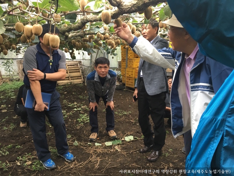 [동정] 서귀포시참다래연구회 역량강화 현장교육