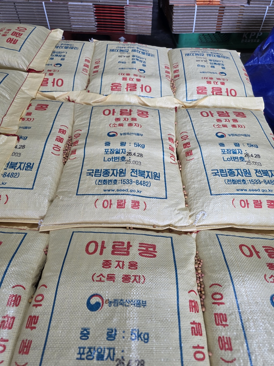 2026년도 나물콩 우량종자 84.5톤 보급 완료