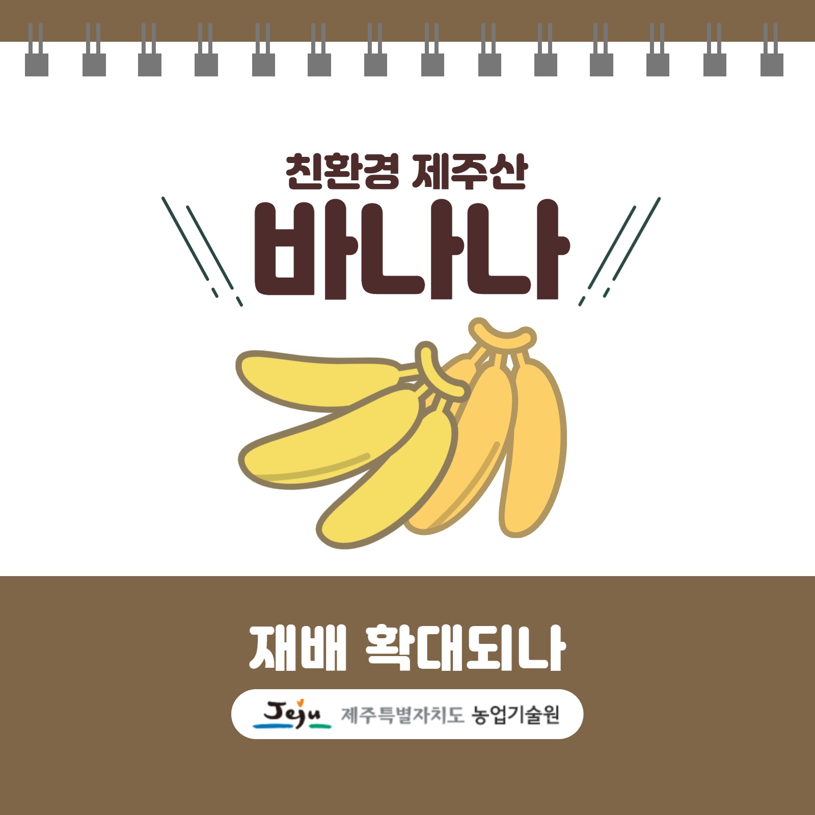 바나나1..jpg