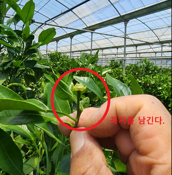 적과 시기 등