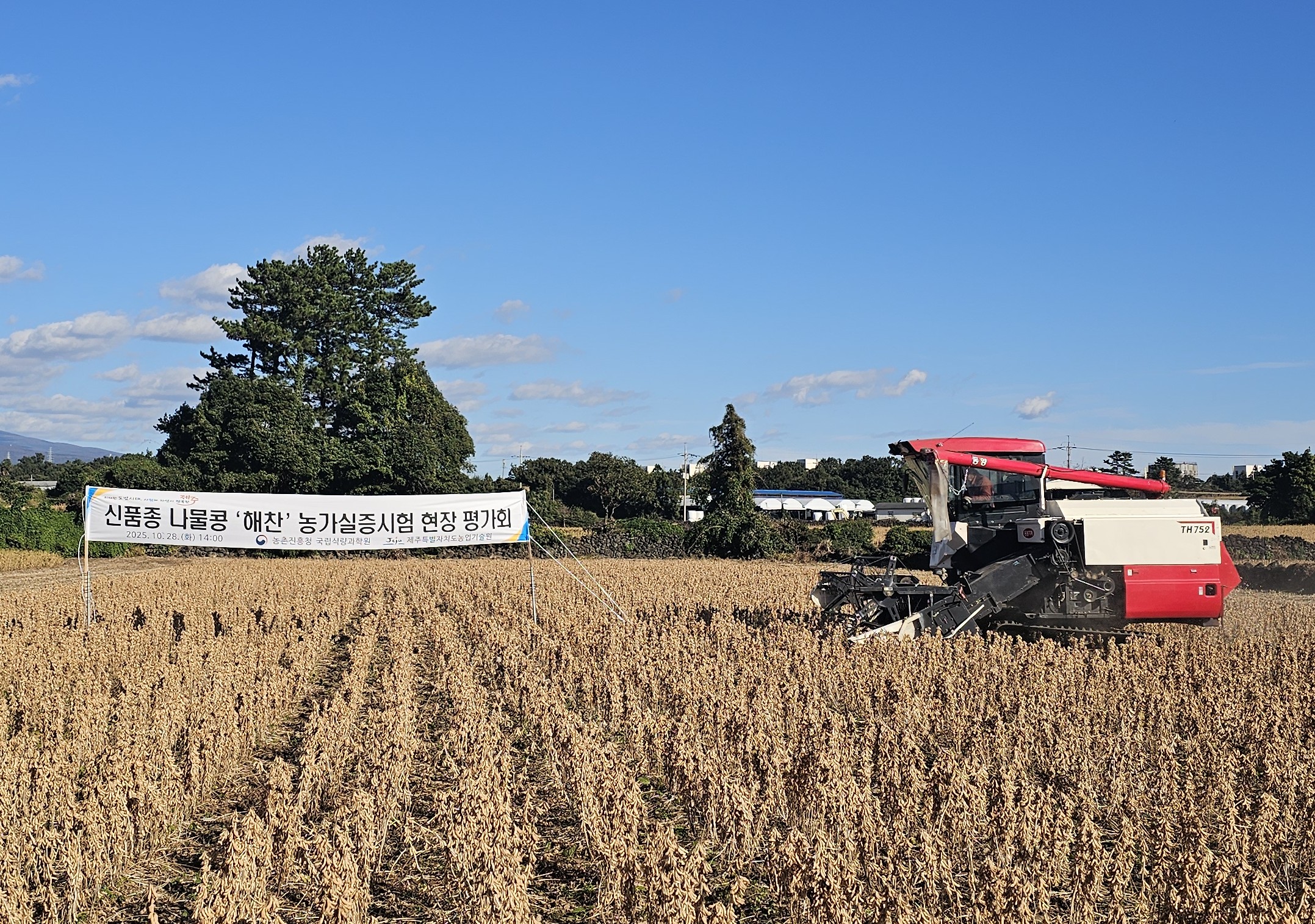 신품종 나물콩 ‘해찬’, 빠른 성숙기와 기계수확 적합성 입증