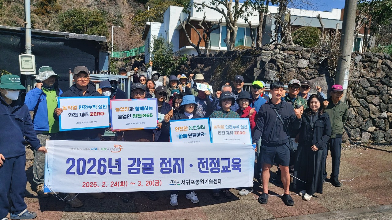 노지감귤 정지전정교육(효돈농협)