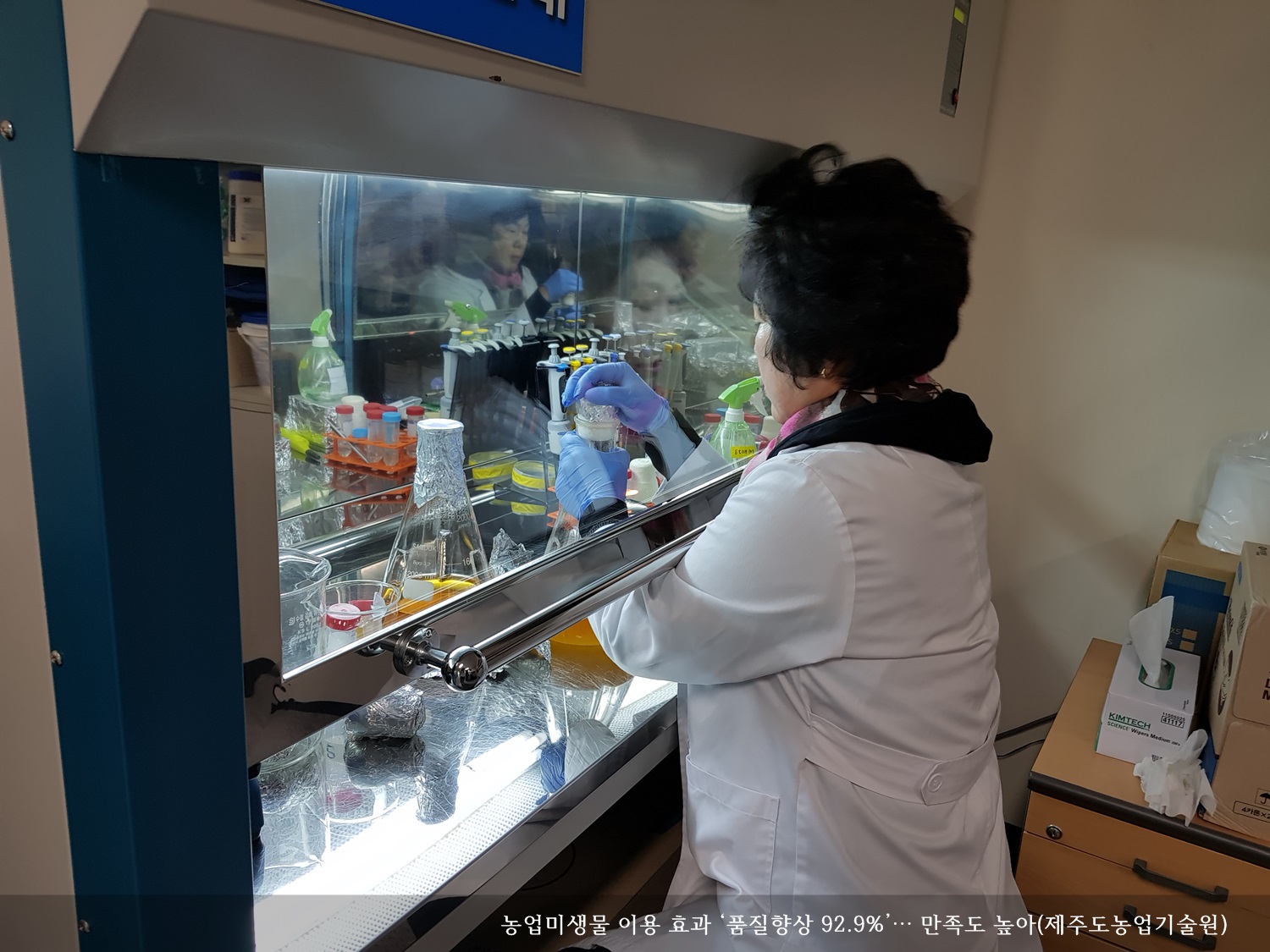 [보도자료] 농업미생물 이용 효과 ‘품질향상 92.9%’… 만족도 높아