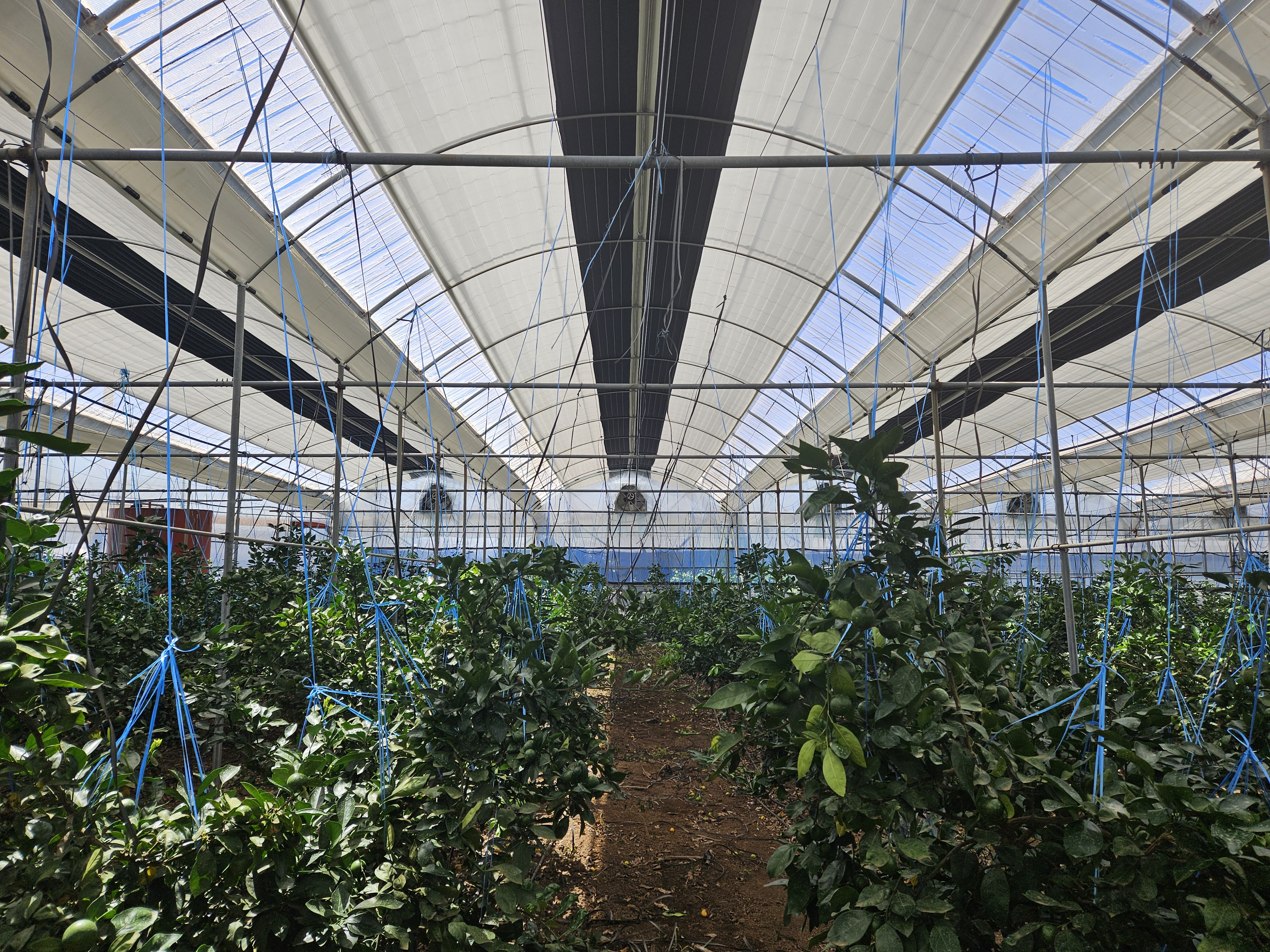 2026년 농업기술보급 시범사업 본격 시동