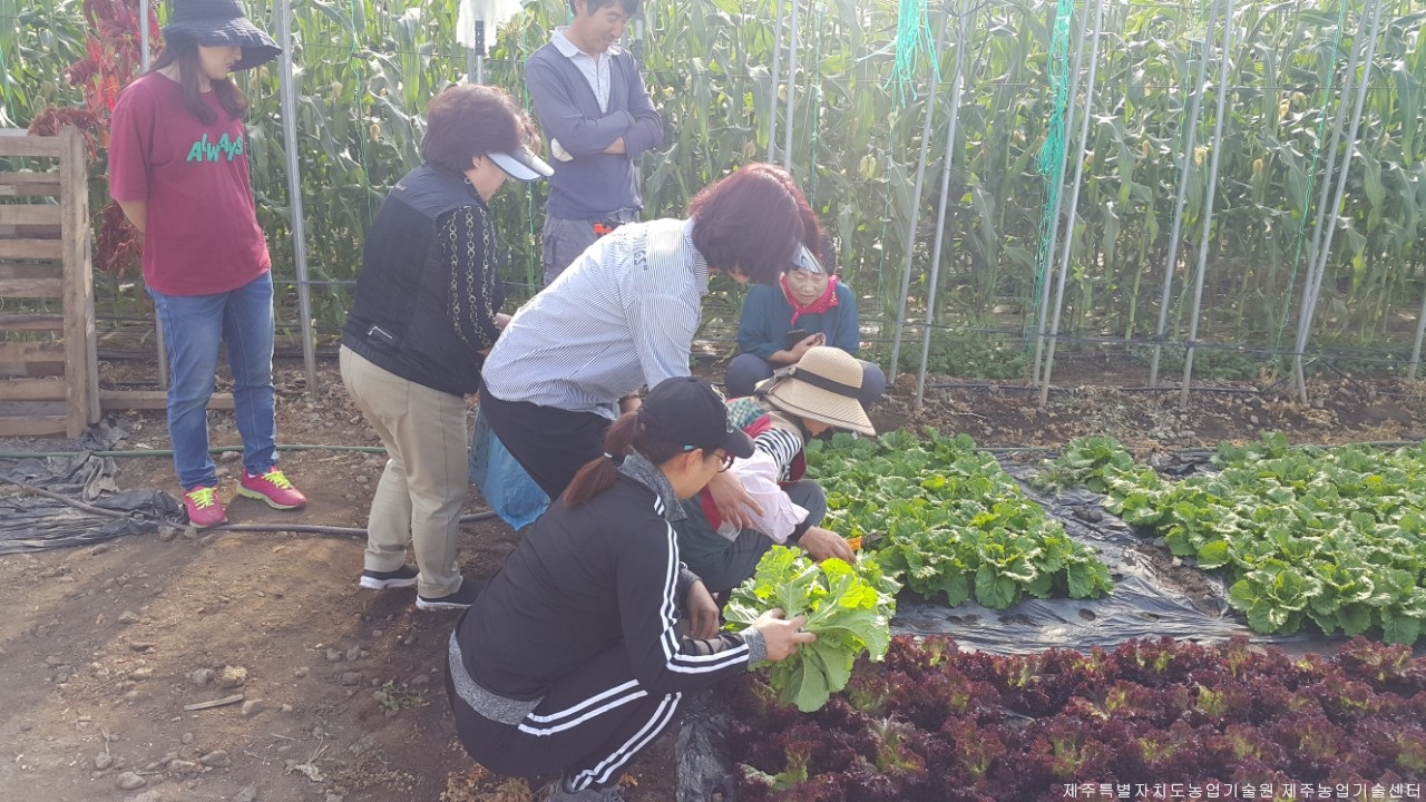 2019 신규농업인 채소재배 기초실습 교육