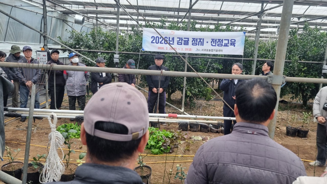 2026년 만감류 정지전정교육(남원농협)