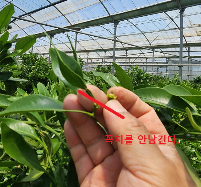적과 시기 등