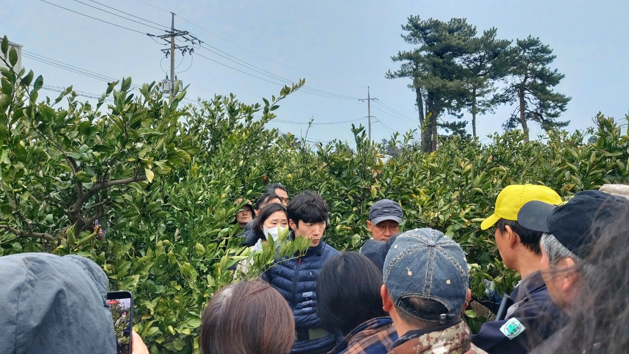 2026년 노지감귤 정지전정 교육(남원농협) 