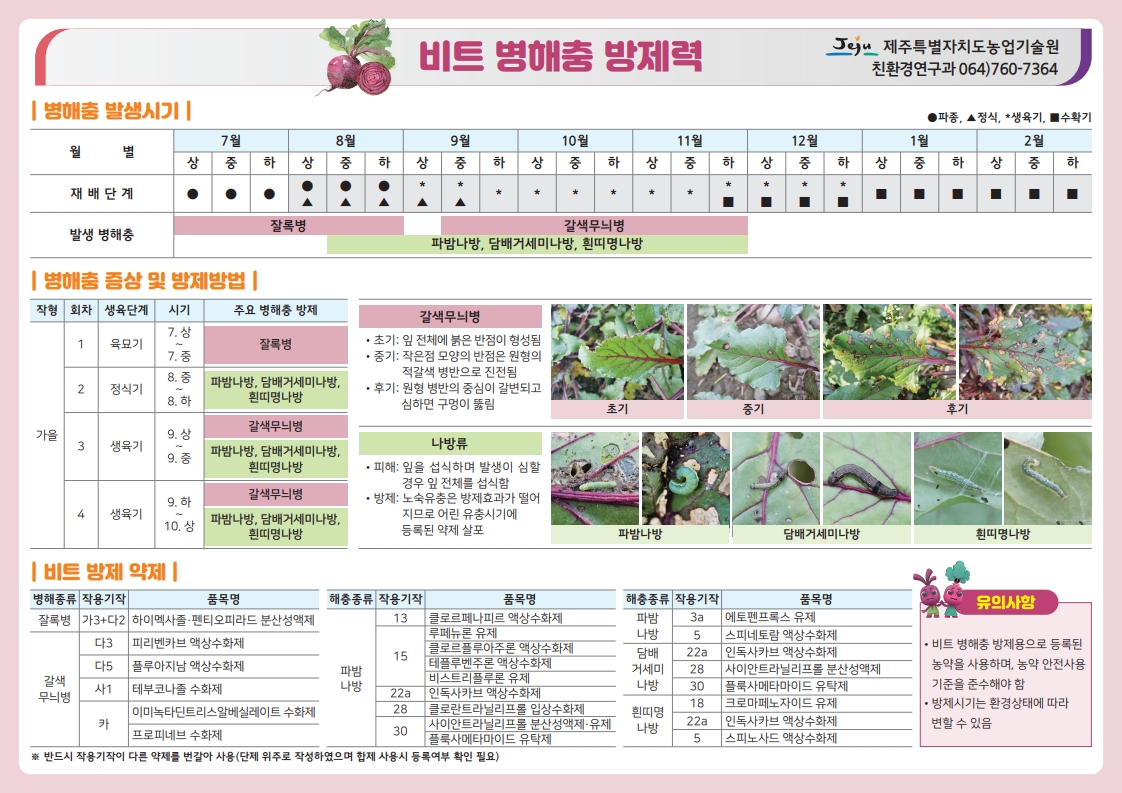 비트 병해충 방제력 보급…철저한 예찰·적기 방제 당부