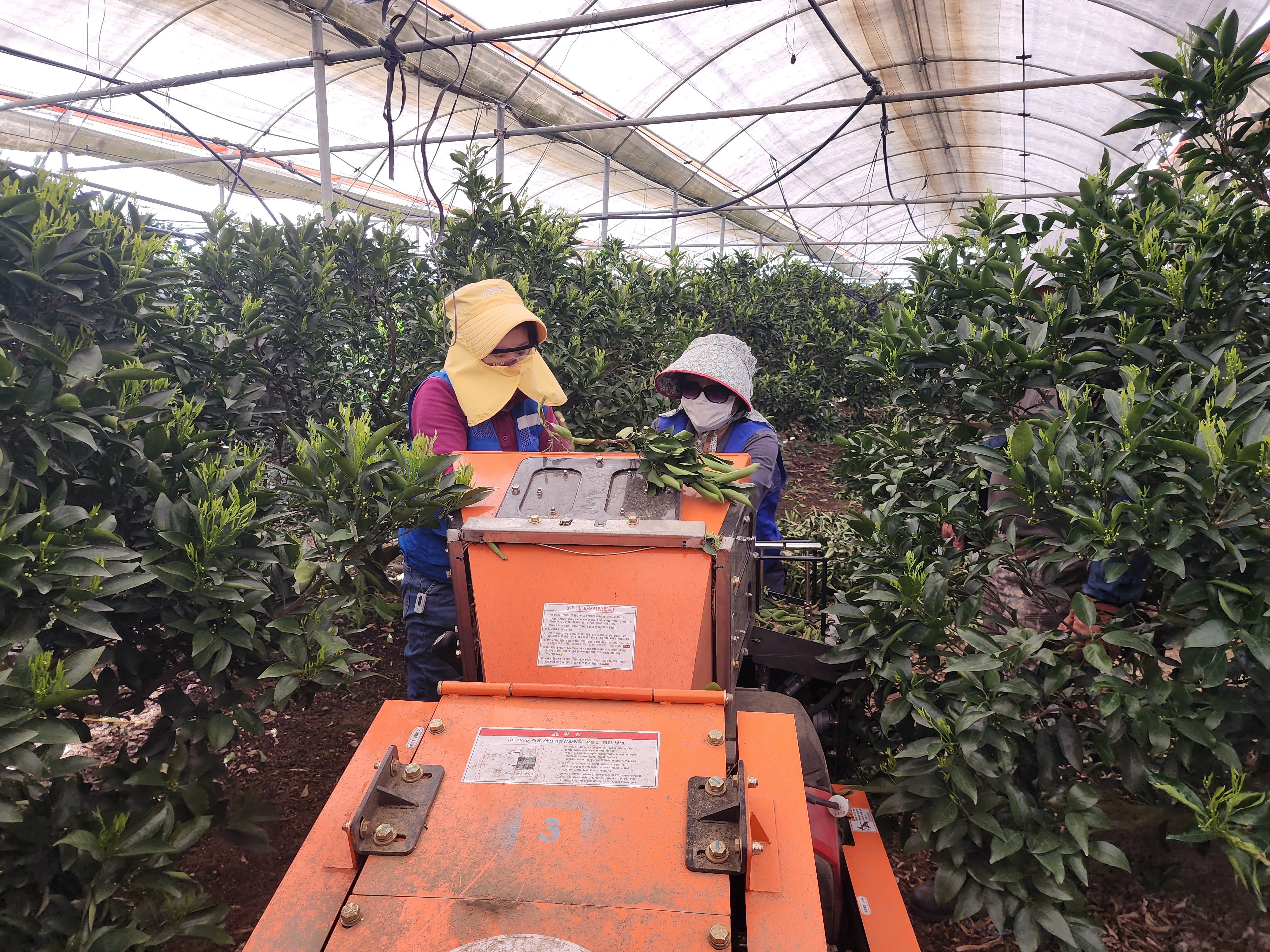 농번기 파쇄기·전동가위 안전사고 급증…안전이 최우선