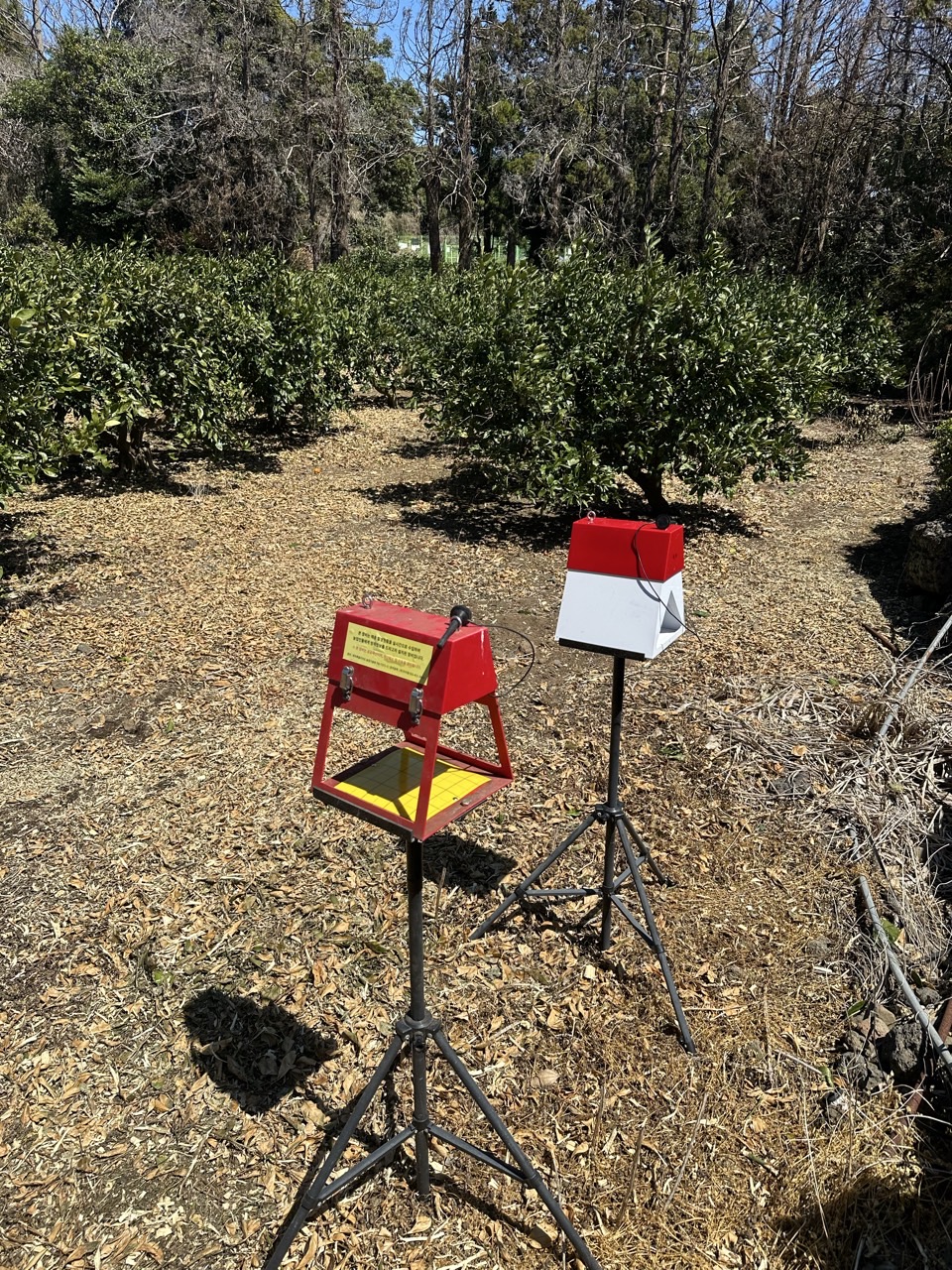 AI 기반 디지털트랩으로 해충 예찰 실시간 체계 전환