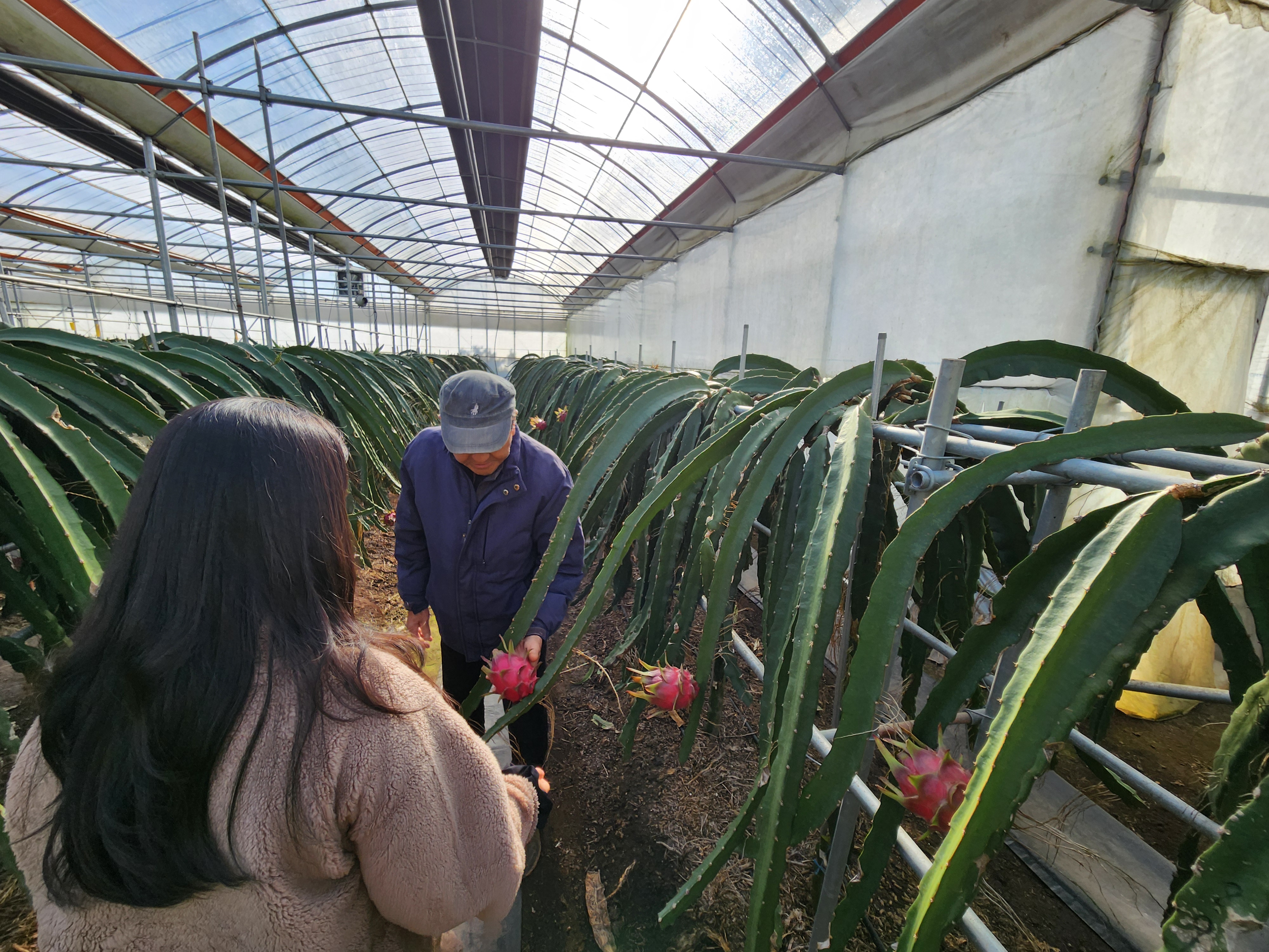 민관 협력 체계 구축…새소득작목 단지 안정 정착 지원