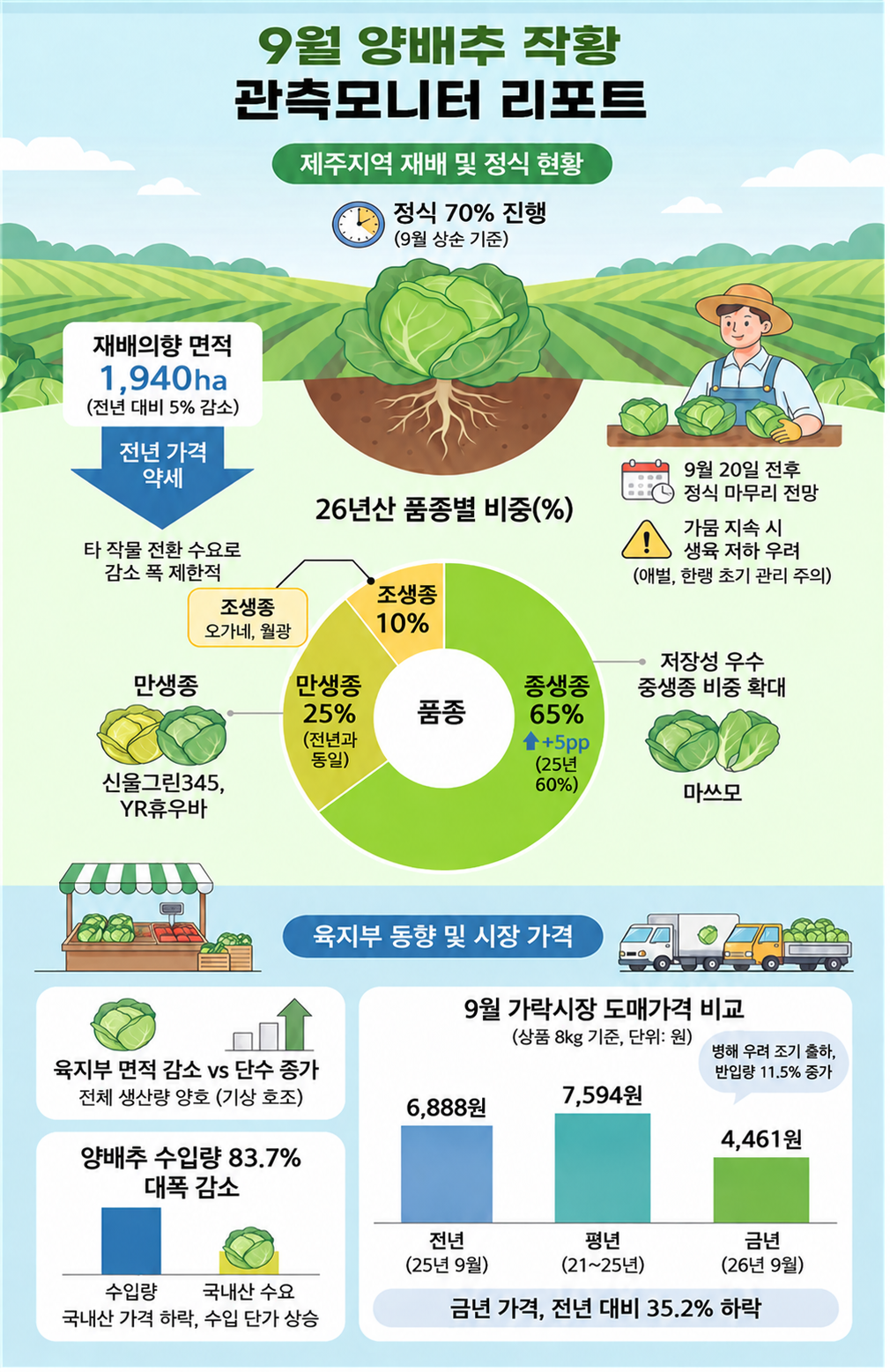 올해 제주산 양배추 5% 줄고 브로콜리는 지난해 수준 전망