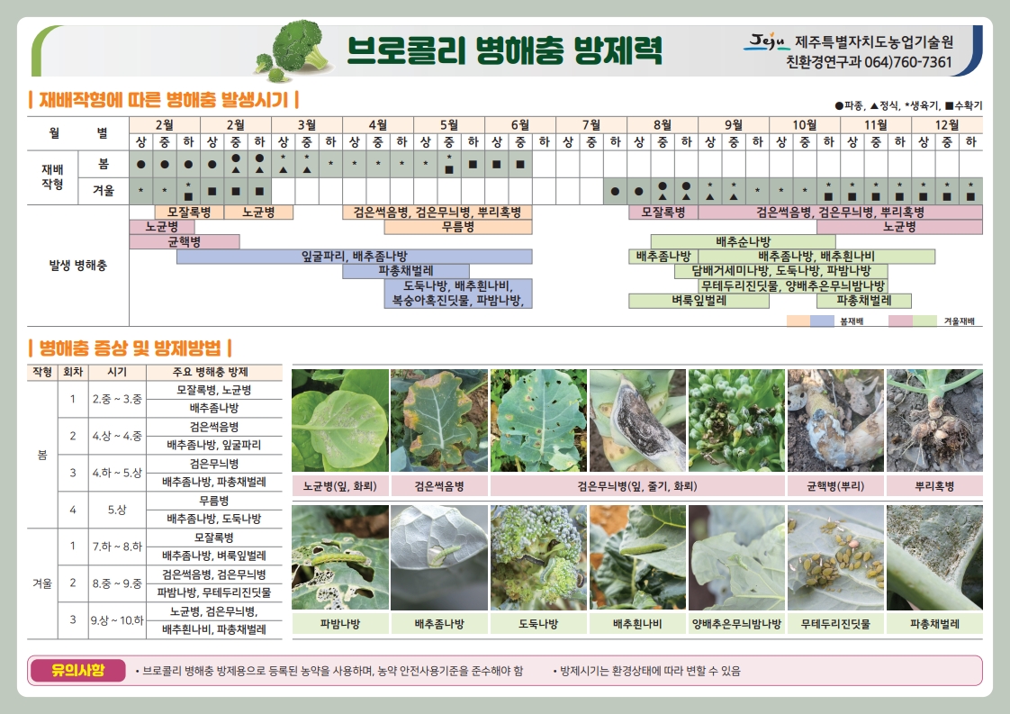 고품질 브로콜리 생산! 정확한 병해충 진단과 방제부터