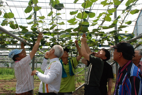 제주동부한라골드키위연구회 연찬회 2