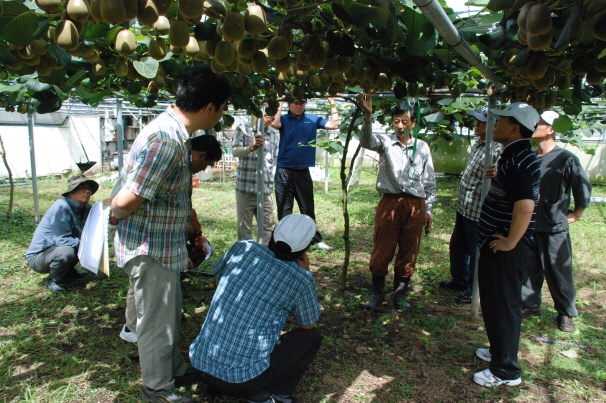 동부 한라골드키위연구회 연찬회