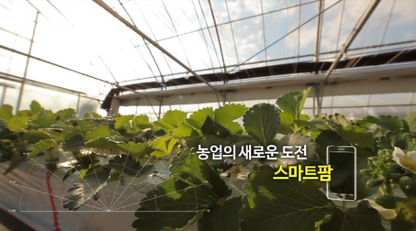 스마트팜 홍보 동영상