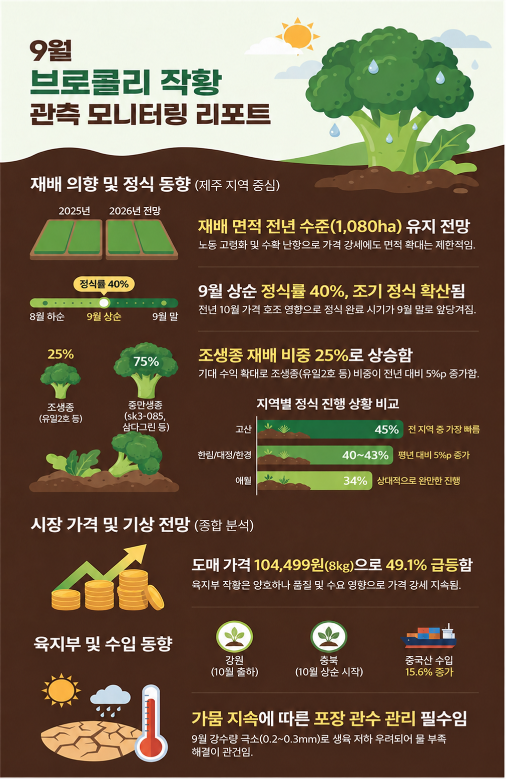 올해 제주산 양배추 5% 줄고 브로콜리는 지난해 수준 전망