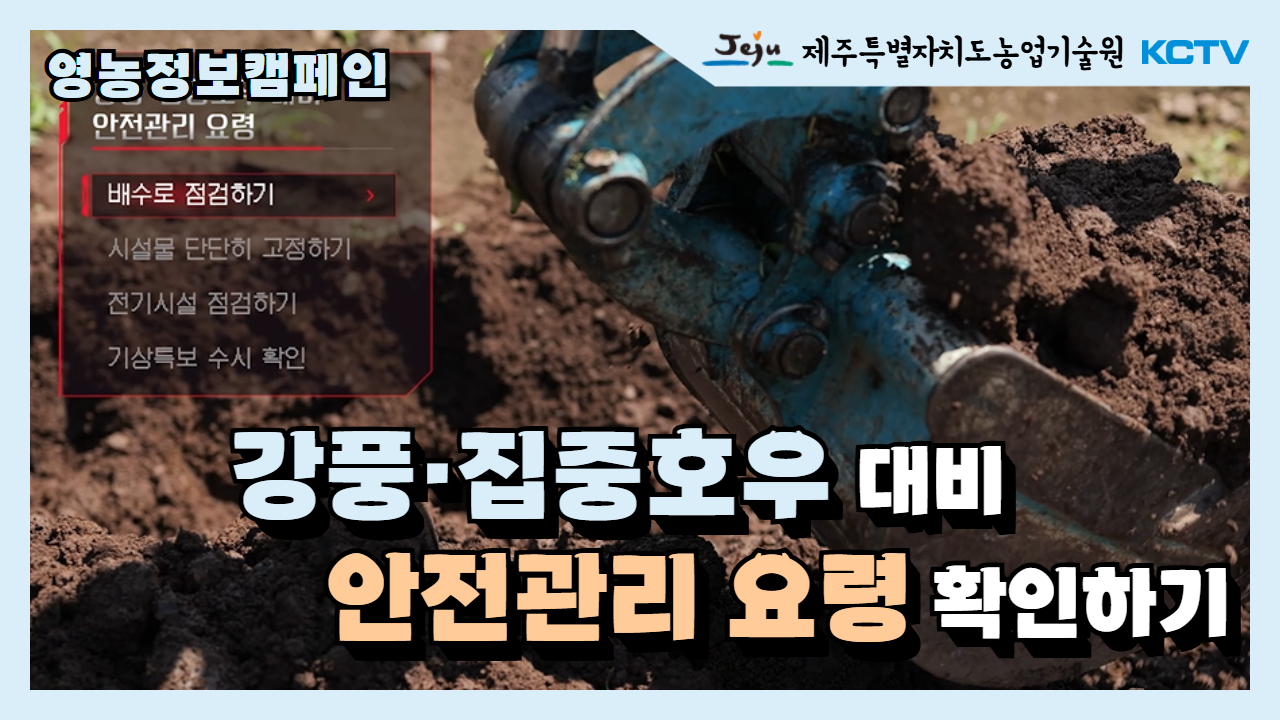 강풍·집중호우 대비 안전관리 요령 확인하기