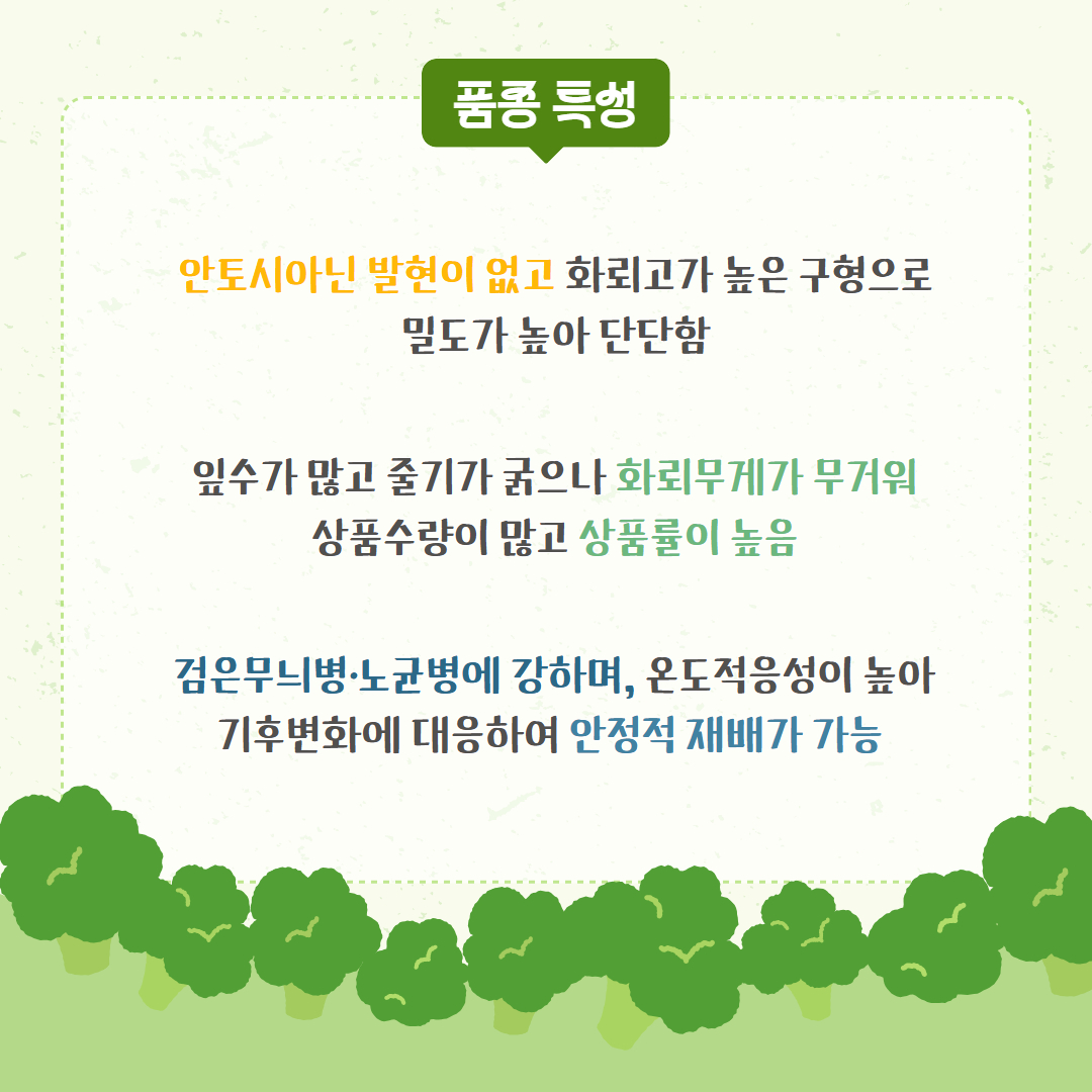 브로콜리 삼다그린 (3).jpg