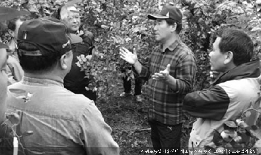 [동정] 서귀포농업기술센터 새소득 작목 현장 교육