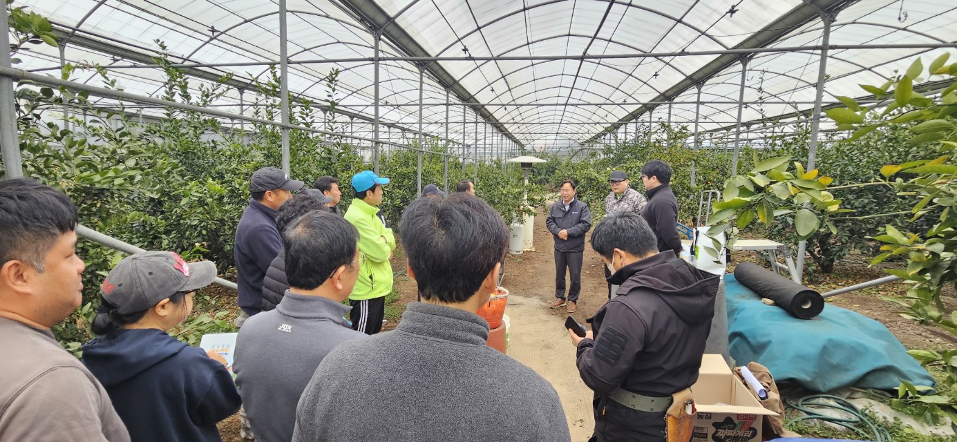 2026년 감귤류 정지.전정 기술교육 추진-9회차