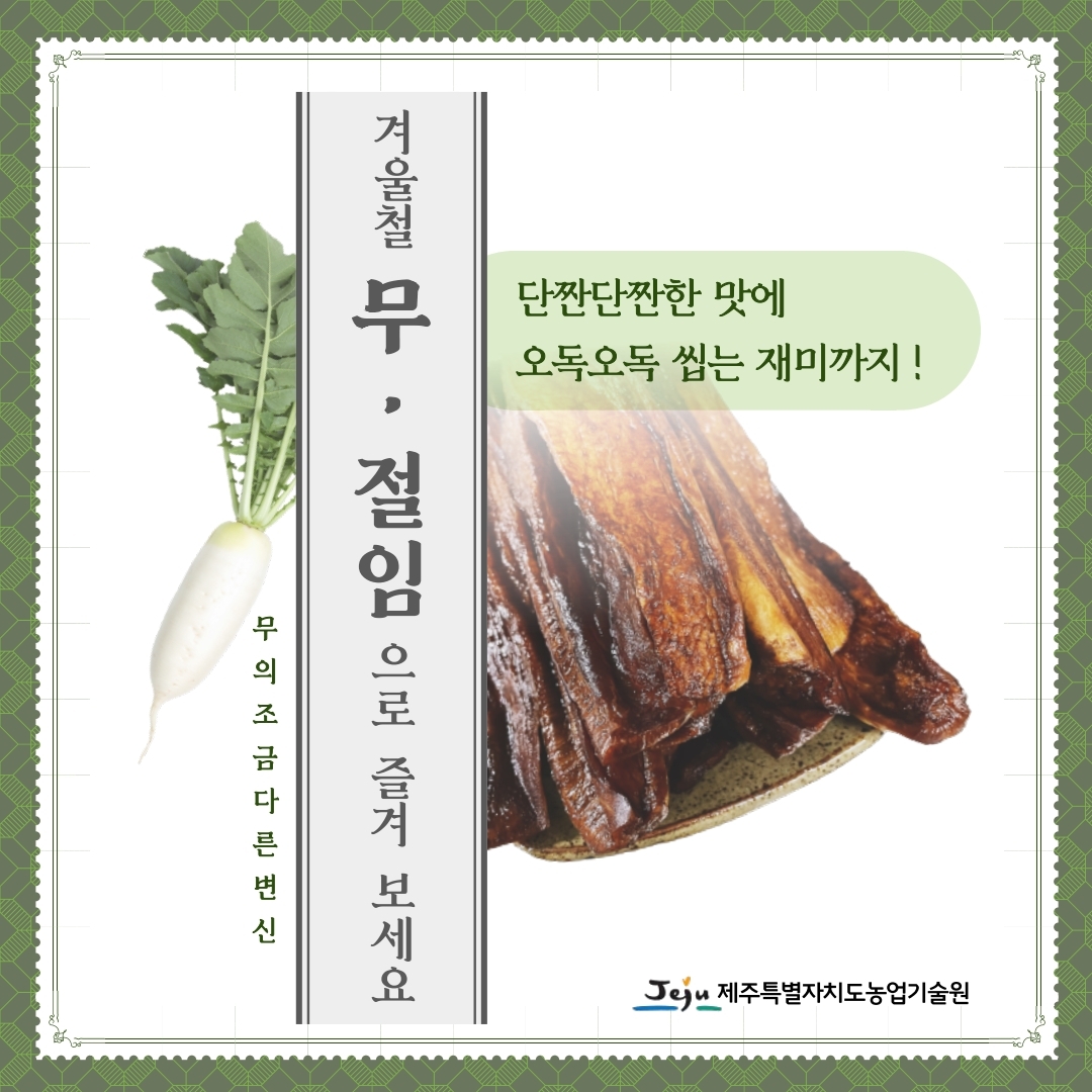 겨울철 밭의 인삼이라 불리는 무! 무절임으로 이용해보세요!