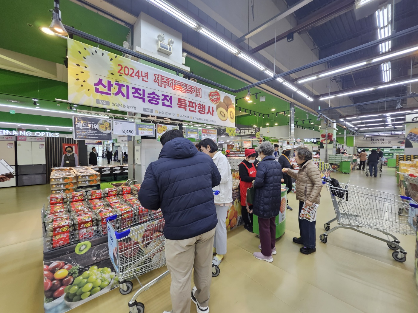 제주산 골드키위 ‘하트골드’ 시범유통, 소비자 반응 좋아