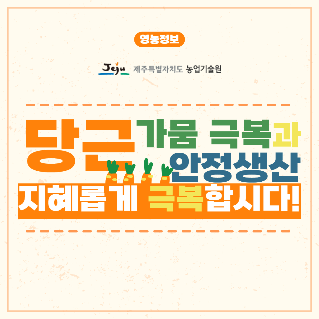 당근 파종기 안정생산 (1).jpg