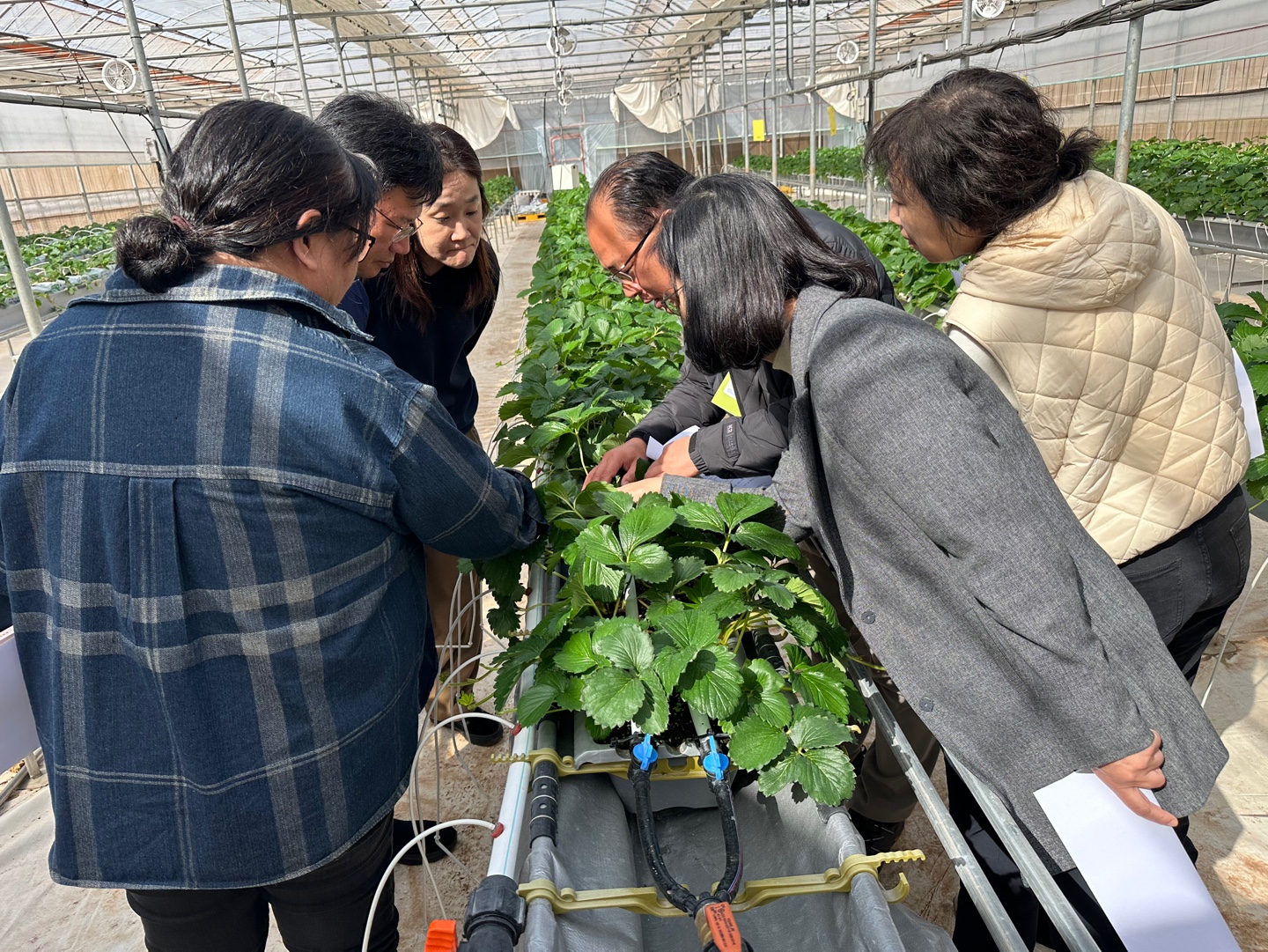 농촌진흥청 협력 스마트농업 연구역량 강화