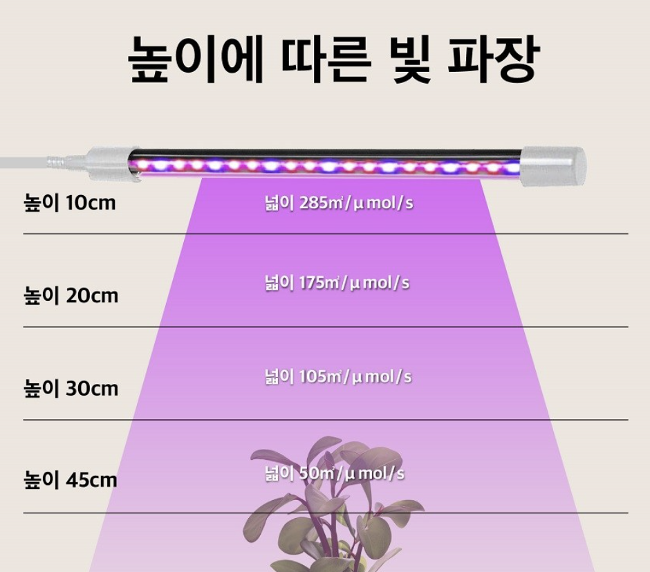 양배추 브로콜리 육묘 여쭤보고 싶습니다