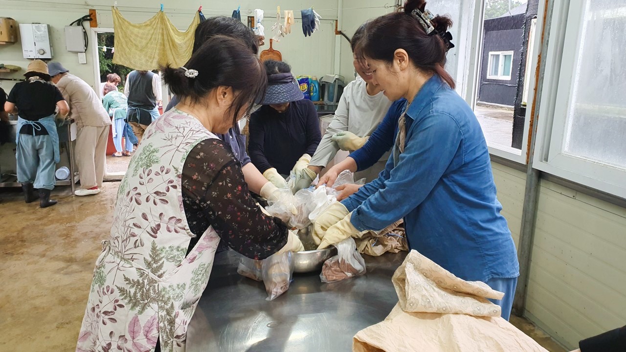 천연 염색 투데이 클래스