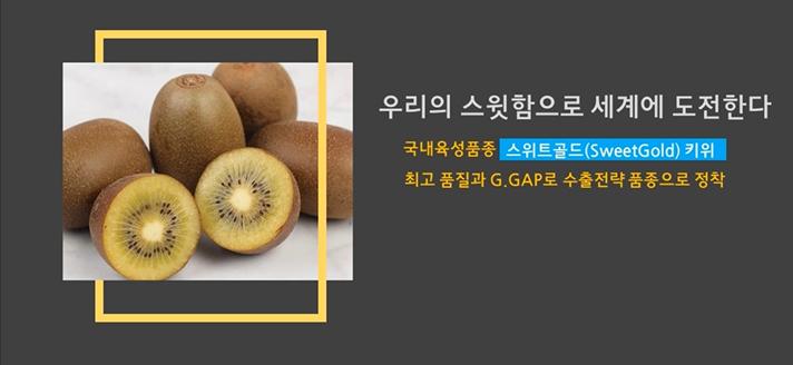 우리의 스윗함으로 세계시장에 도전한다.