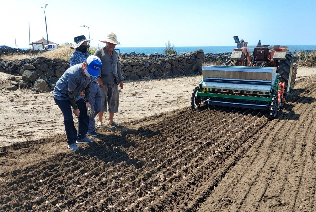 ‘농촌 인력부족 해소’마늘 재배 기계화 본격화