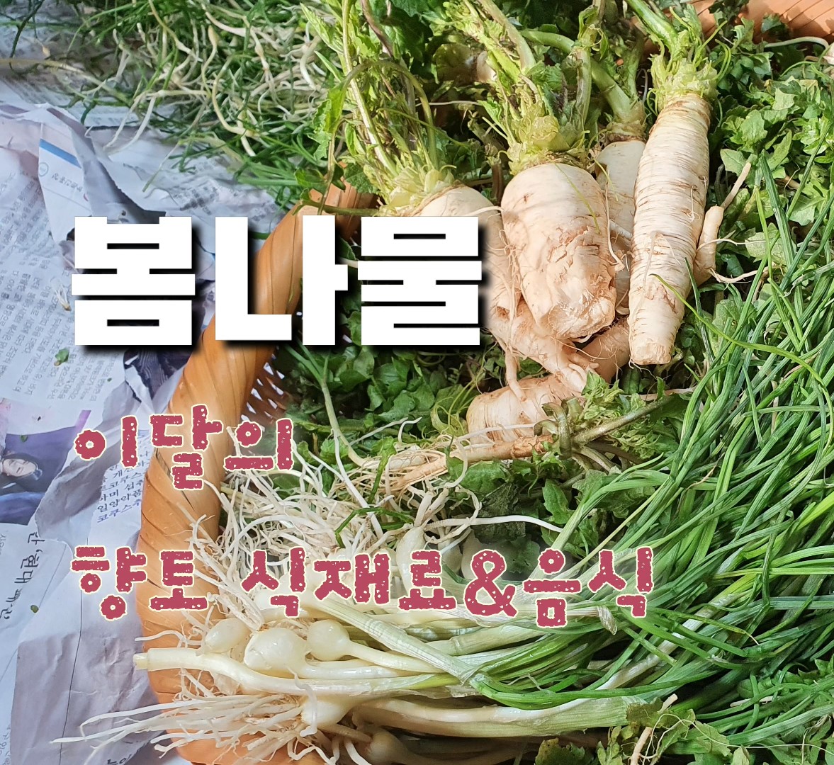 3월 선정음식 《봄나물》