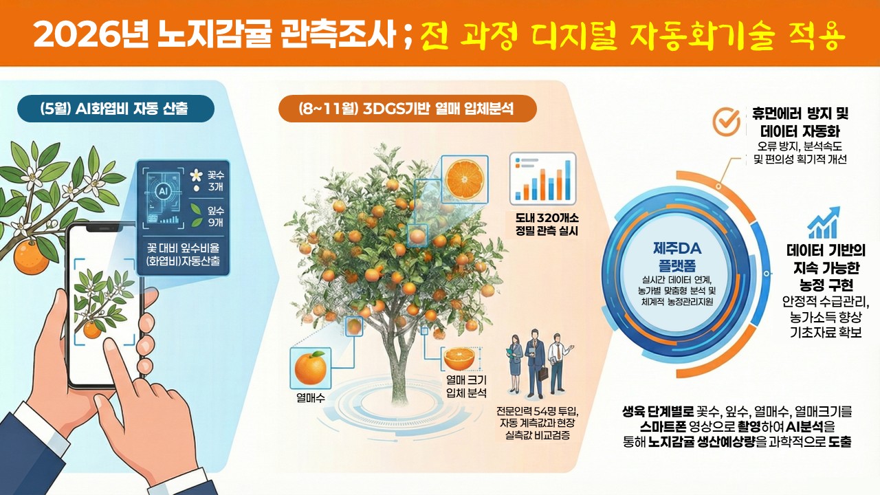 제주 노지감귤 생산 예측 정밀하게…자동화 관측 본격 가동