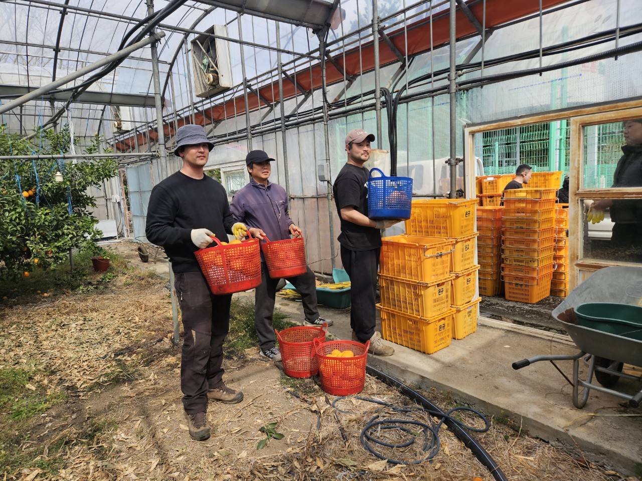 청년·예비농업인 현장 교육…미래농업 인재 키운다