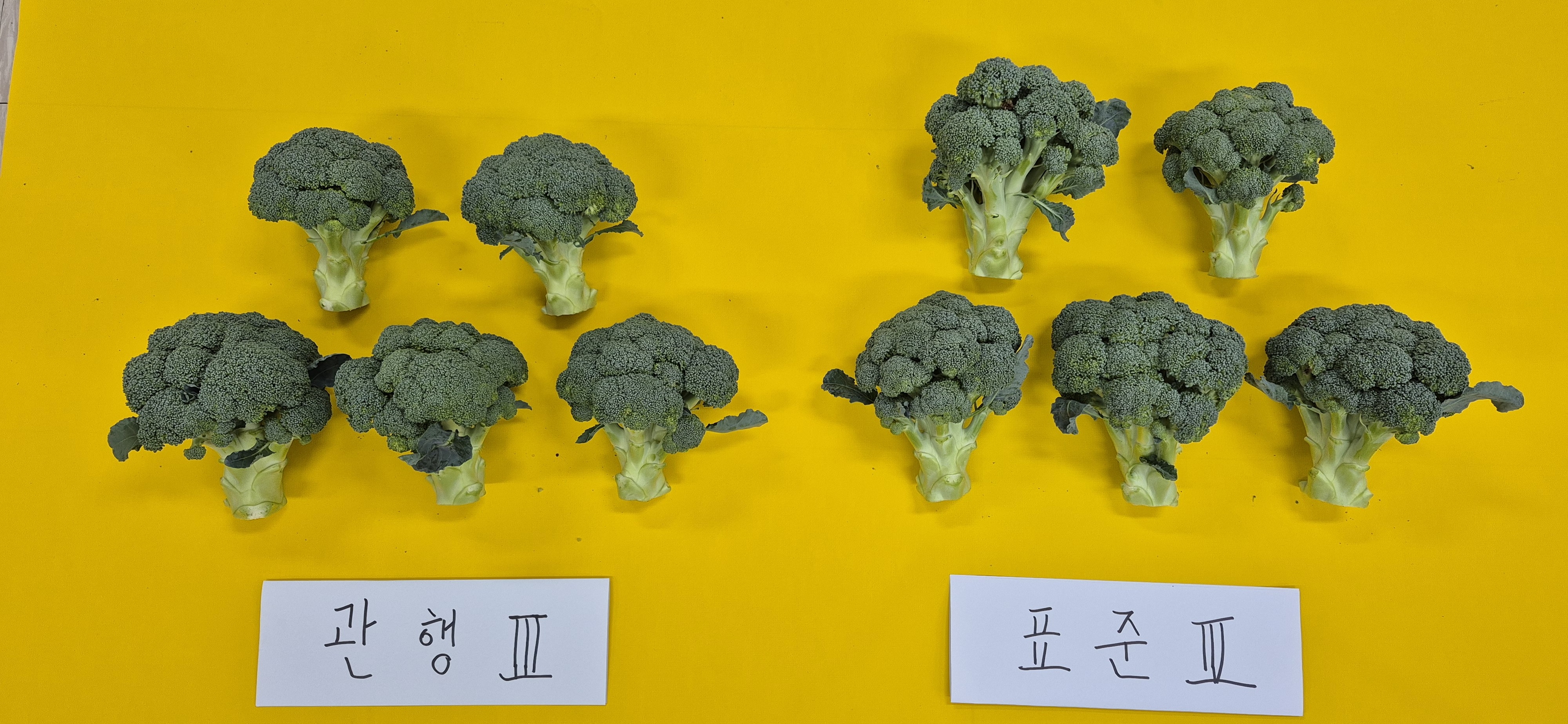 '위기를 기회로' 과학 기반 표준시비 실천 캠페인 전개