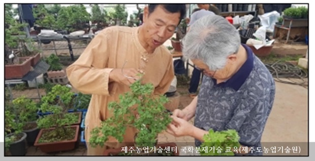 [동정] 제주농업기술센터 국화분재기술 교육