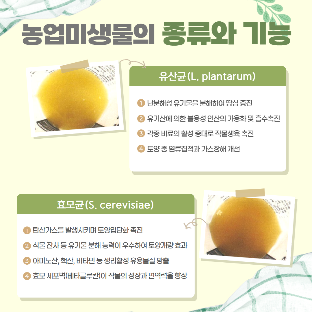 농업미생물 활용 (4).png
