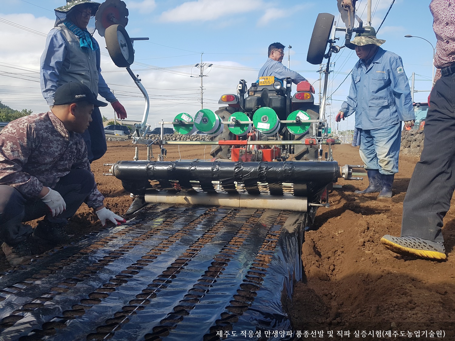 [보도자료] 제주도 적응성 만생양파 품종선발 및 직파 실증시험