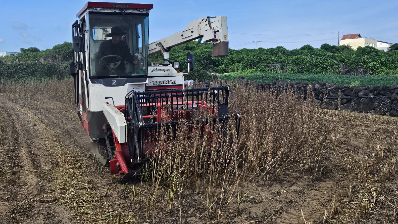 2025년 농촌진흥사업 다방면 성과