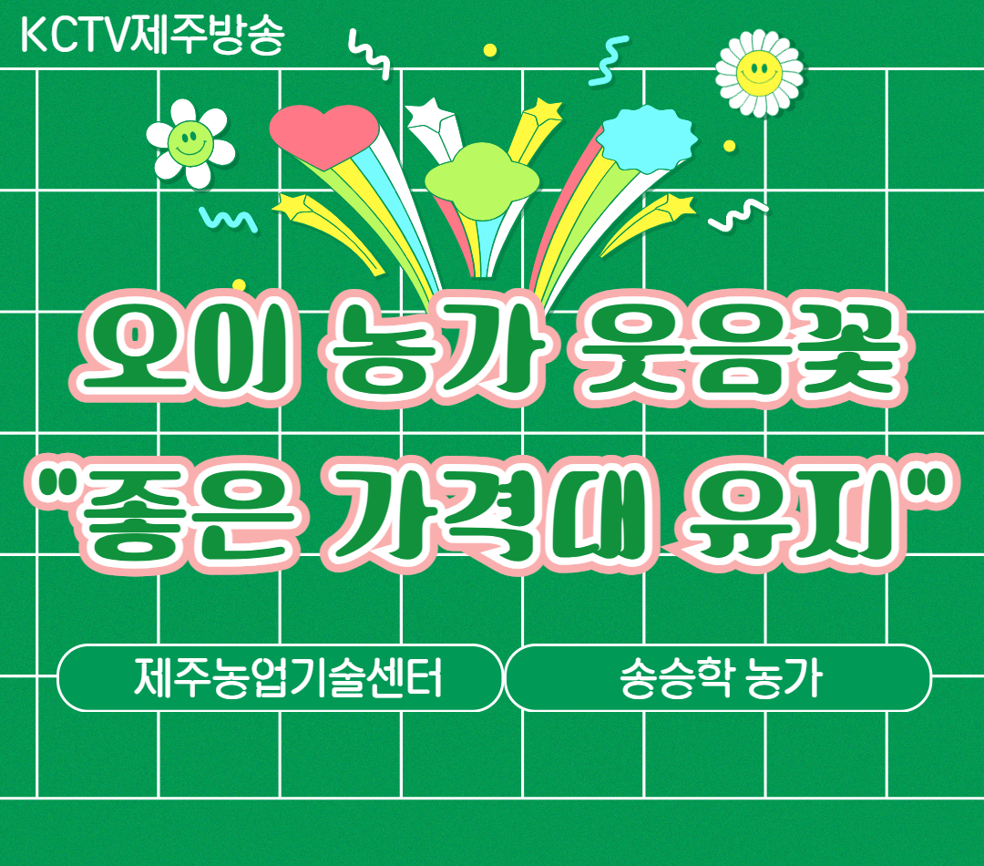 오이 농가 웃음꽃…"좋은 가격대 유지"