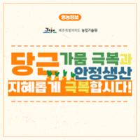당근 파종기 안정생산 (4).jpg