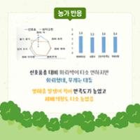 브로콜리 삼다그린 (4).jpg