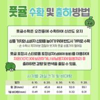 풋귤 생산 및 출하 (5).jpg