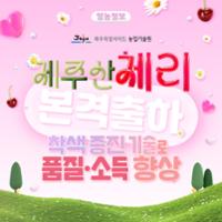 제주산 체리 출하 및 실증 결과 (1).jpg